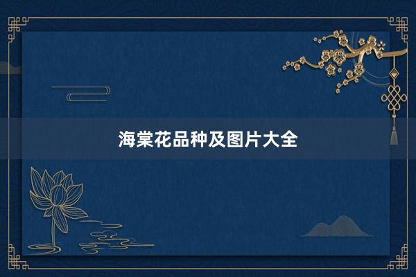 海棠花品种及图片大全