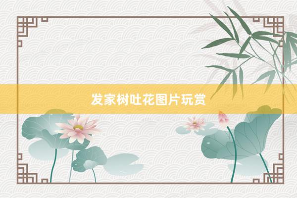发家树吐花图片玩赏
